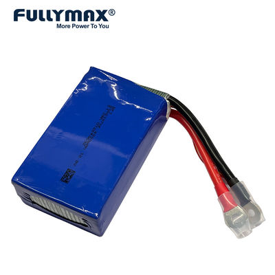Lithium Polymer Lipo Akku 12V 10000mAh 12.8V 45C 1000A Starthilfe Akku Booster